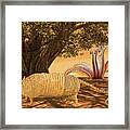 Armadillo Dream Framed Print