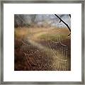 Where Leads The Path Never Reached -   Dew Bedazzled Spiderweb In Front Of A Curving Path In Woods Framed Print