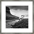 Where There Is No Path Ii - Horse Art Framed Print