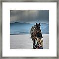 Whispers In The Wind Framed Print