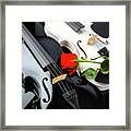 White And Black Violin With Red Rose Framed Print