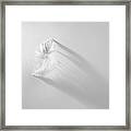 White Feather Framed Print