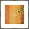 White Flower With Orange And Ochre Wall Framed Print