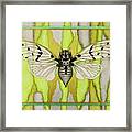 White Ghost Cicada Framed Print