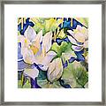 White Lotus Framed Print