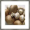 White Mushrooms & Brown Mushrooms Framed Print