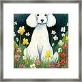 White Poodle In A Flower Field Framed Print