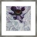 White Poppy Framed Print