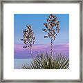 White Sands Beauty Framed Print