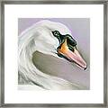 White Swan On Purple Framed Print