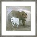 White Wolf, Brown Bear Framed Print