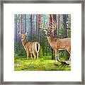 Whitetail Deer Art Print - Wildlife In The Forest Framed Print