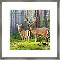 Whitetail Deer Art Squares - Wildlife In The Forest Framed Print