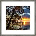 Who Needs The Tropics Framed Print