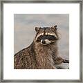 Who Was That Masked Man Framed Print