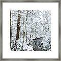 Wild And Wonderful Winter Woodland Framed Print