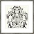 Wild Boar Skull And The Cycle Of Life 2 Framed Print