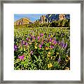 Wild Flowers At Glacier National Park Framed Print
