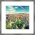 Wildflower Fisheye Framed Print