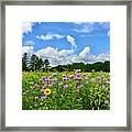 Wildflower Glory Framed Print