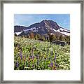 Wildflowers At Round Top Framed Print