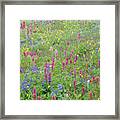 Wildflowers In Morning Fog #1 Framed Print