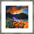 Wildflowers Mountain Forest River Sunset Framed Print