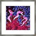 Wine Flash Framed Print