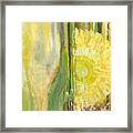 Wine Or Nature Framed Print