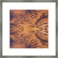 Wings Of Air And Light Framed Print