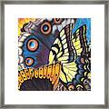 Wings Of North Amerca Framed Print