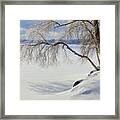 Winter 3468 Framed Print