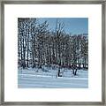 Winter Aspen Trees Framed Print