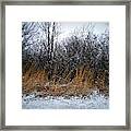 Winter Beauty In The Woods Framed Print