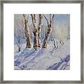 Winter Birches Framed Print