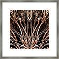 Winter Branches Framed Print