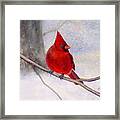 Winter Cardinal Framed Print