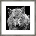 Winter Coat Framed Print