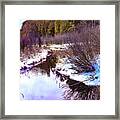Winter Creek Framed Print