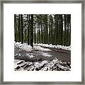 Winter Forest Landscape With Snow On The Ground Framed Print