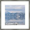 Winter Gulls And Reflections Wide Framed Print
