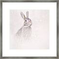 Winter Hare Framed Print