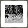 Winter Hike Framed Print