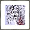 Winter, I Don't Wanna A Lose Red Framed Print