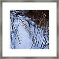 Winter Of Fireweed Framed Print