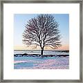 Winter On The Coast Framed Print