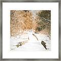 Winter Trail And Bridge Framed Print