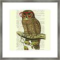 Wise Owl Framed Print