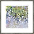 Wisteria By Monet Framed Print