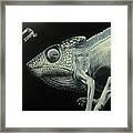 With All That's Happening This Is Not The Time To Go Diving Framed Print